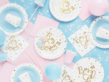 Servietten - Boy or Girl - 33cm x 33cm